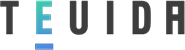 TEUIDA Inc logo